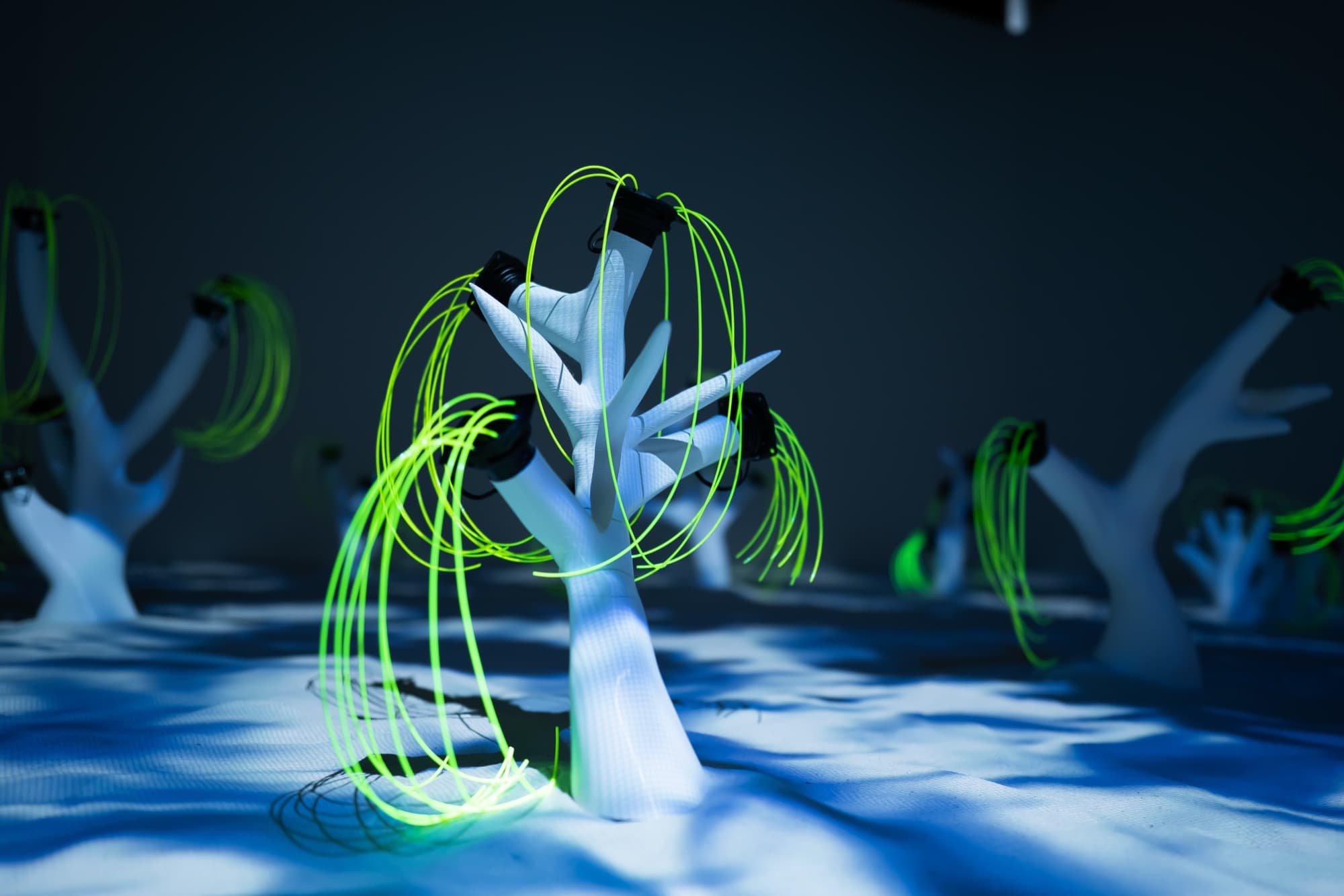 CORALS — 3D-printed data-driven sculpture