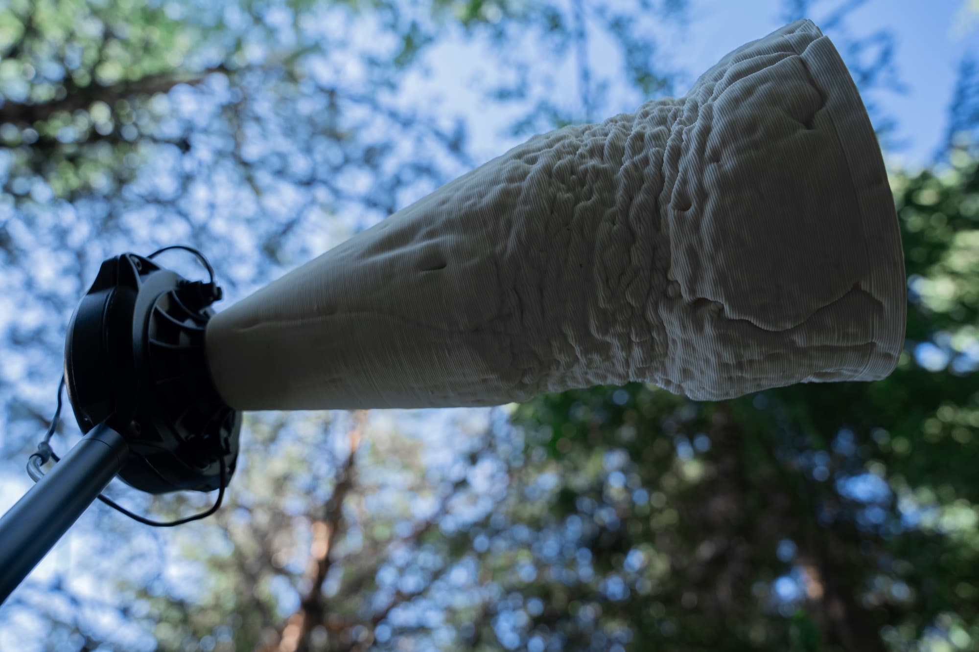 FUNGI exhibition space